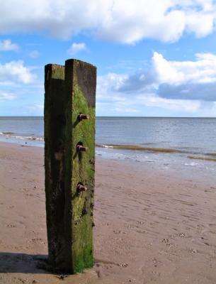 Down At The Beach.