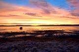 Invergowrie Bay Sunrise.