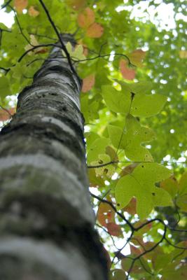 CRW_9147.jpg