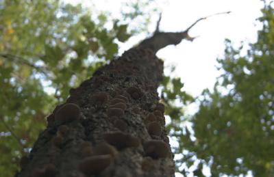 CRW_9150.jpg