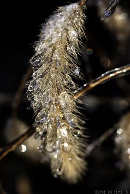 : Ice Tuft :