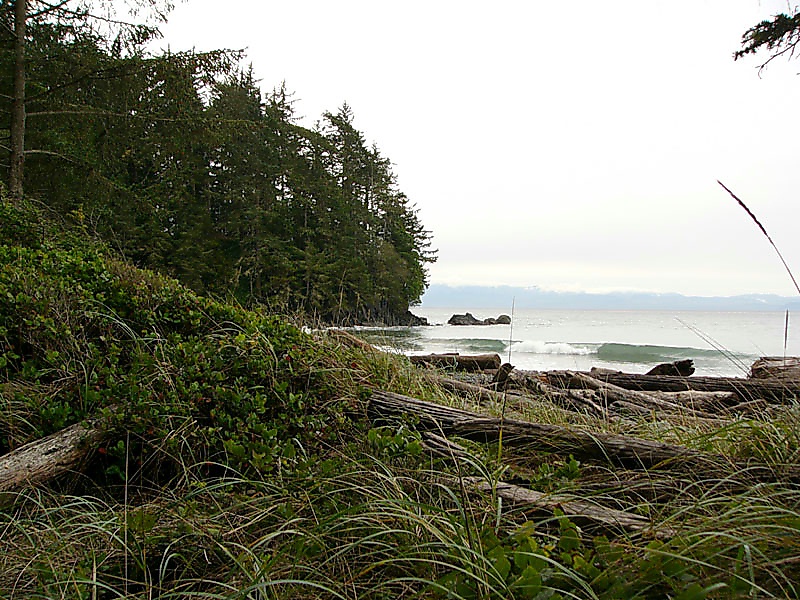 P1110687.JPG