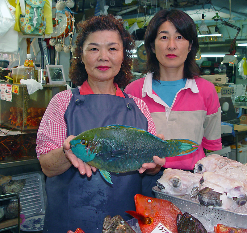 Fishmonger at the machigwa