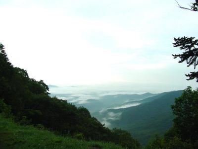 View from Buck Spring Gap