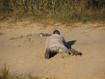 A photo of me trying to get a pic of a gently released peregrine