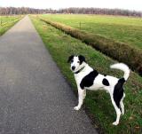 Joop's Dog Log - Wednesday Apr 07