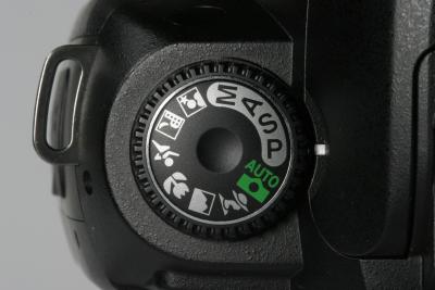 Nikon D70 detail