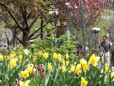 Spring in Union Square Park