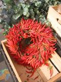 Red Pepper Wreath