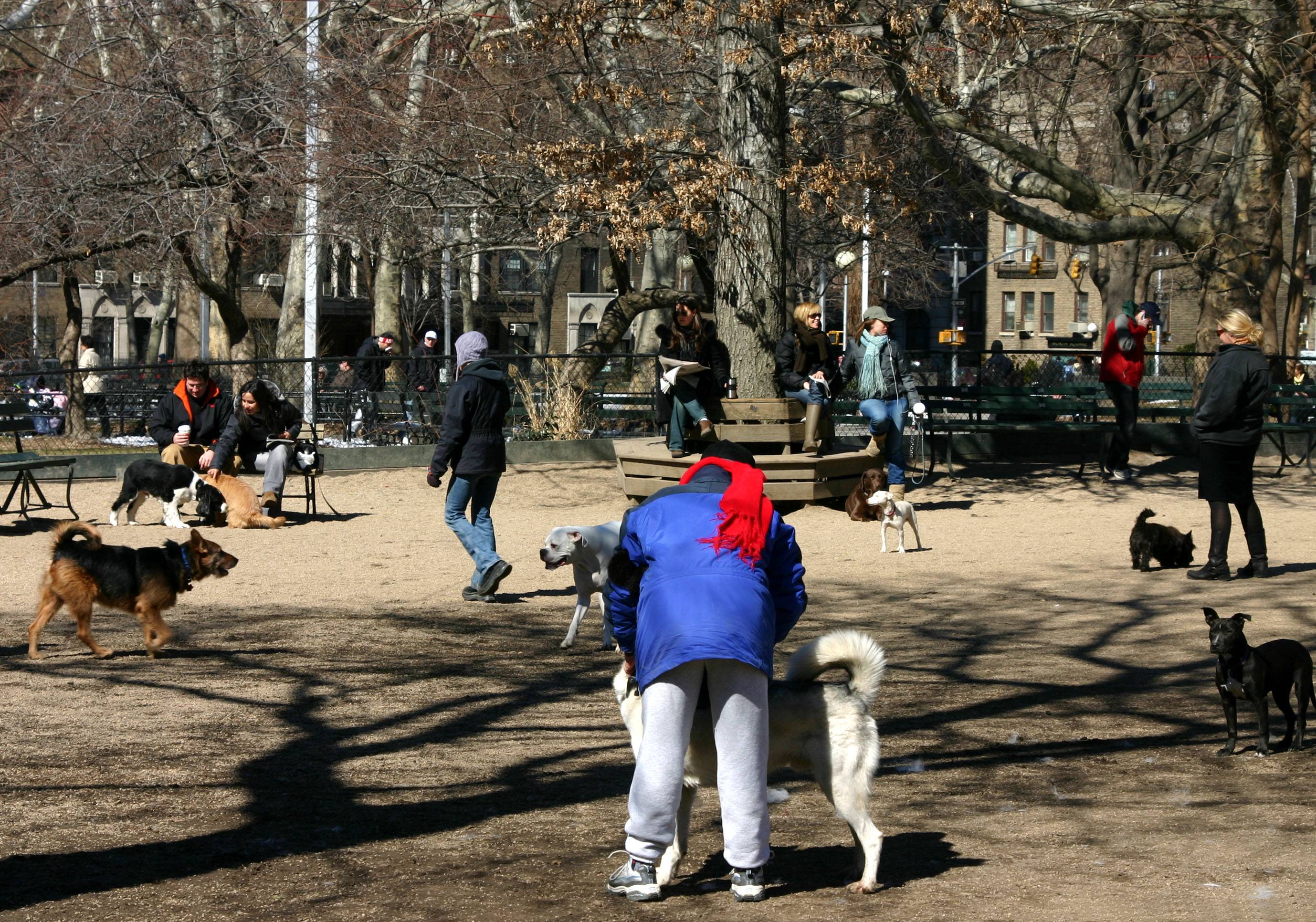 Washington Square Park Dog Run
