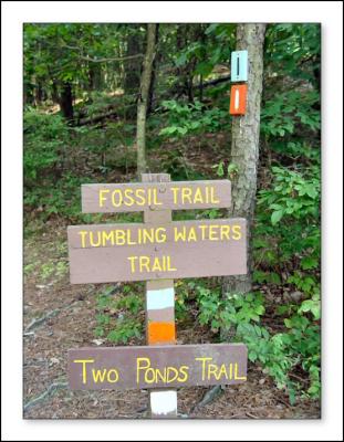 Trail marker at end of journey