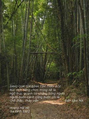 Sng qua Gia Định tm thầy bi