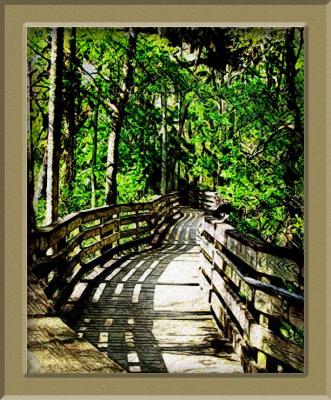 The Path