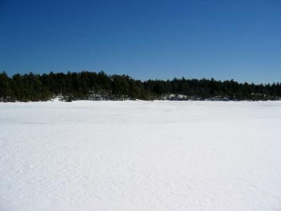 newlongpond