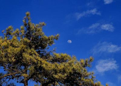 Moon Over the Mountain.jpg
