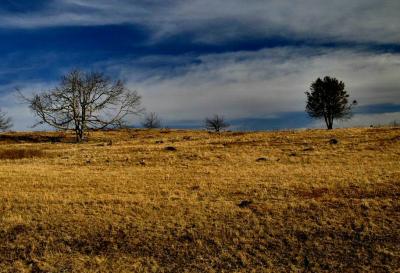 At Big Meadows