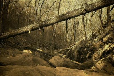 Dark Hollow Falls/sepia