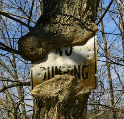 No Dumping!