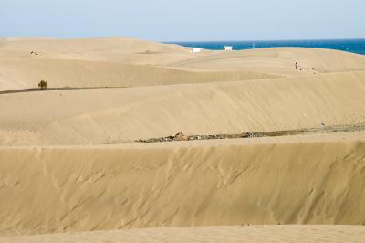 DSC_0173.jpg