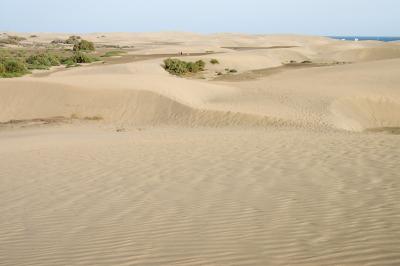 DSC_0175.jpg
