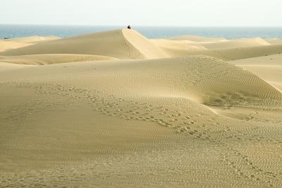 DSC_0181.jpg
