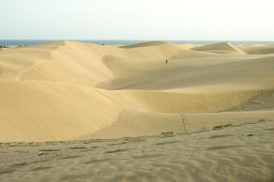 DSC_0182.jpg