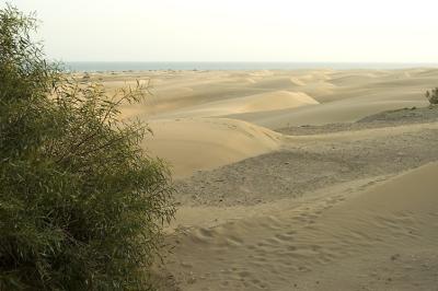 DSC_0183.jpg
