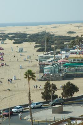 DSC_0104.jpg
