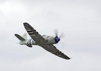 Sea Fury (4)