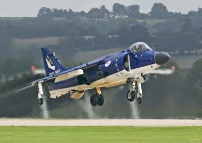 Sea Harrier FA.2 (1)