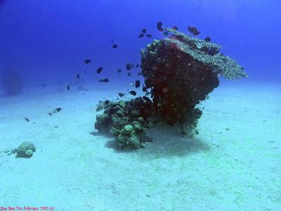 Underwater scenery