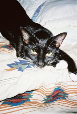 Kumba33004.jpg