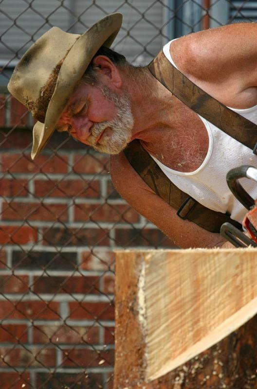 Chain Saw Artist