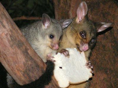 Mum and kid copy.jpg