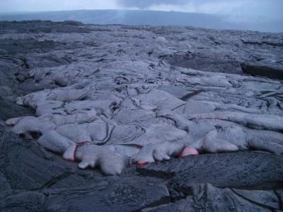 u42/jan_herbert/medium/40596937.Lava20050306026.jpg