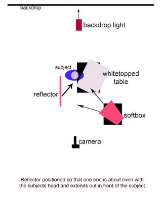 diagram-for-Ebin.jpg