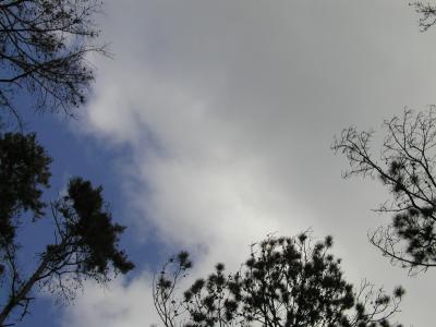 P1013630.JPG