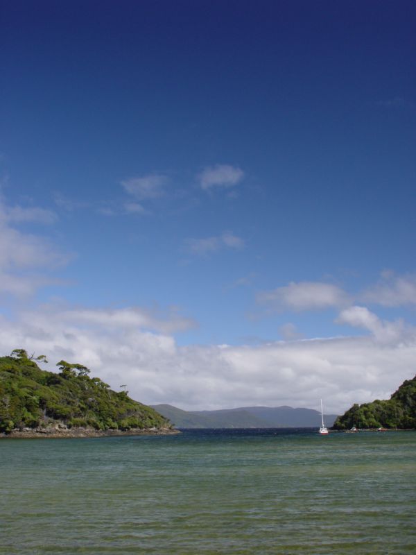 Stewart Island