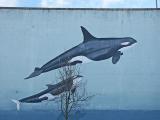 Whale Wall