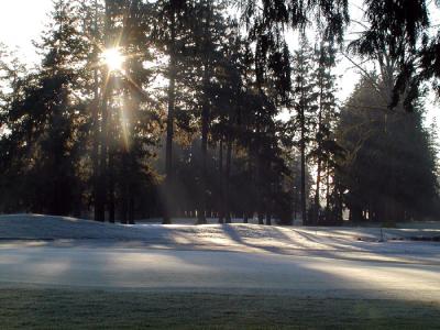 Golf Course on a Frosty Morning