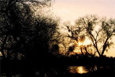 Winter Dawn-- St John's river