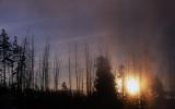 Yellowstone Sunrise