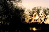 Winter Dawn-- St Johns river