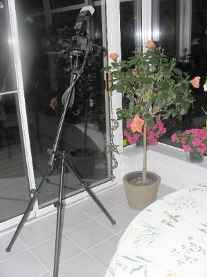 Test shots with Benbo Trekker tripod