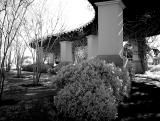 DSC04328  640x480 IR BW.jpg