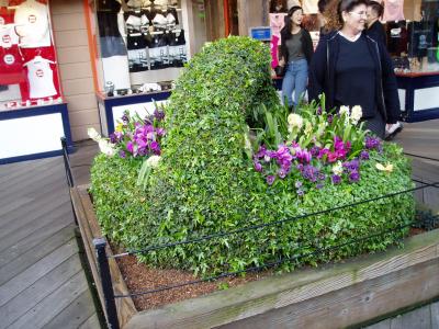 Flowers are everywhere!