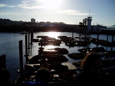 Fisherman's Wharf with the Sea Lions