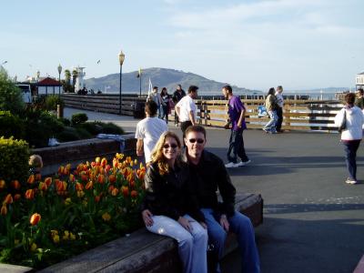 more tulips!