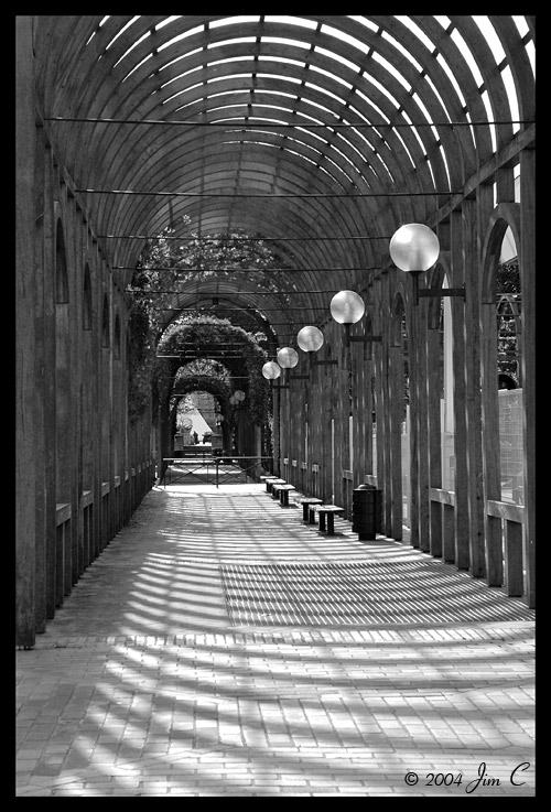 Walk through light and shade