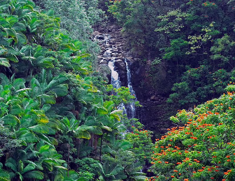 Lower Umauma Falls